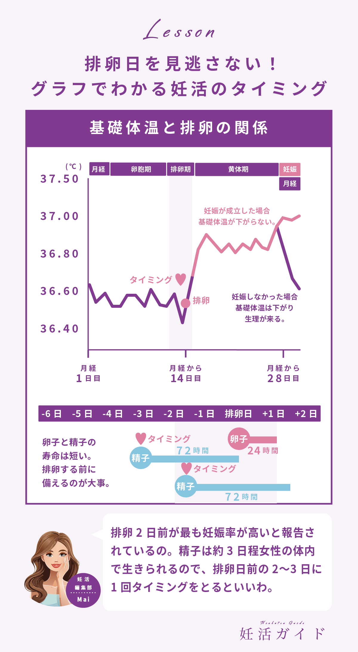 排卵日を見逃さない!グラフでわかる妊活のタイミング。基礎体温と排卵の関係&卵子と精子の寿命のオリジナルグラフ