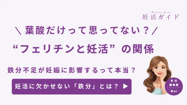 【妊活初心者向け】鉄分不足やフェリチン不足は妊娠を遠ざける？ 妊活で葉酸以外に摂りたい栄養素
