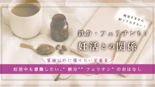 【妊活初心者向け】鉄分・フェリチンと妊活の関係とは？葉酸以外に摂りたい栄養素