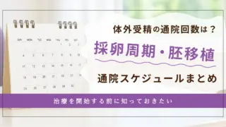 【はじめての不妊治療】体外受精（IVF）の通院回数とスケジュール｜採卵周期〜凍結胚移植まで完全ガイド