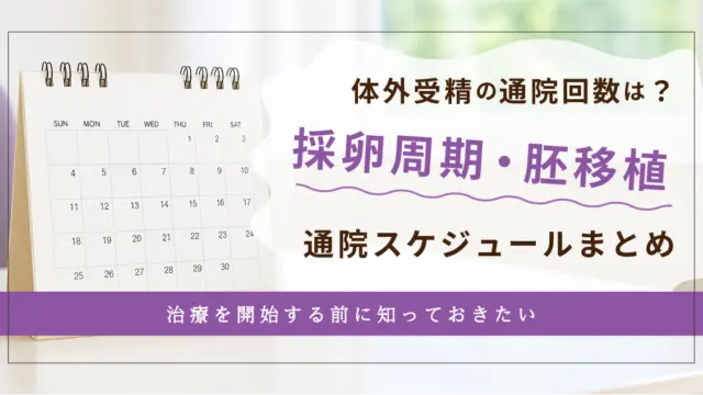 【はじめての不妊治療】体外受精（IVF）の通院回数とスケジュール｜採卵周期〜凍結胚移植まで完全ガイド