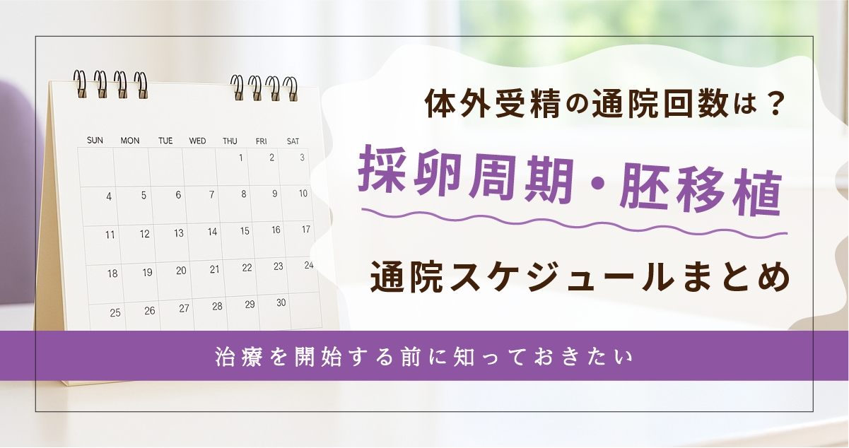 【はじめての不妊治療】体外受精（IVF）の通院回数とスケジュール｜採卵周期〜凍結胚移植まで完全ガイド