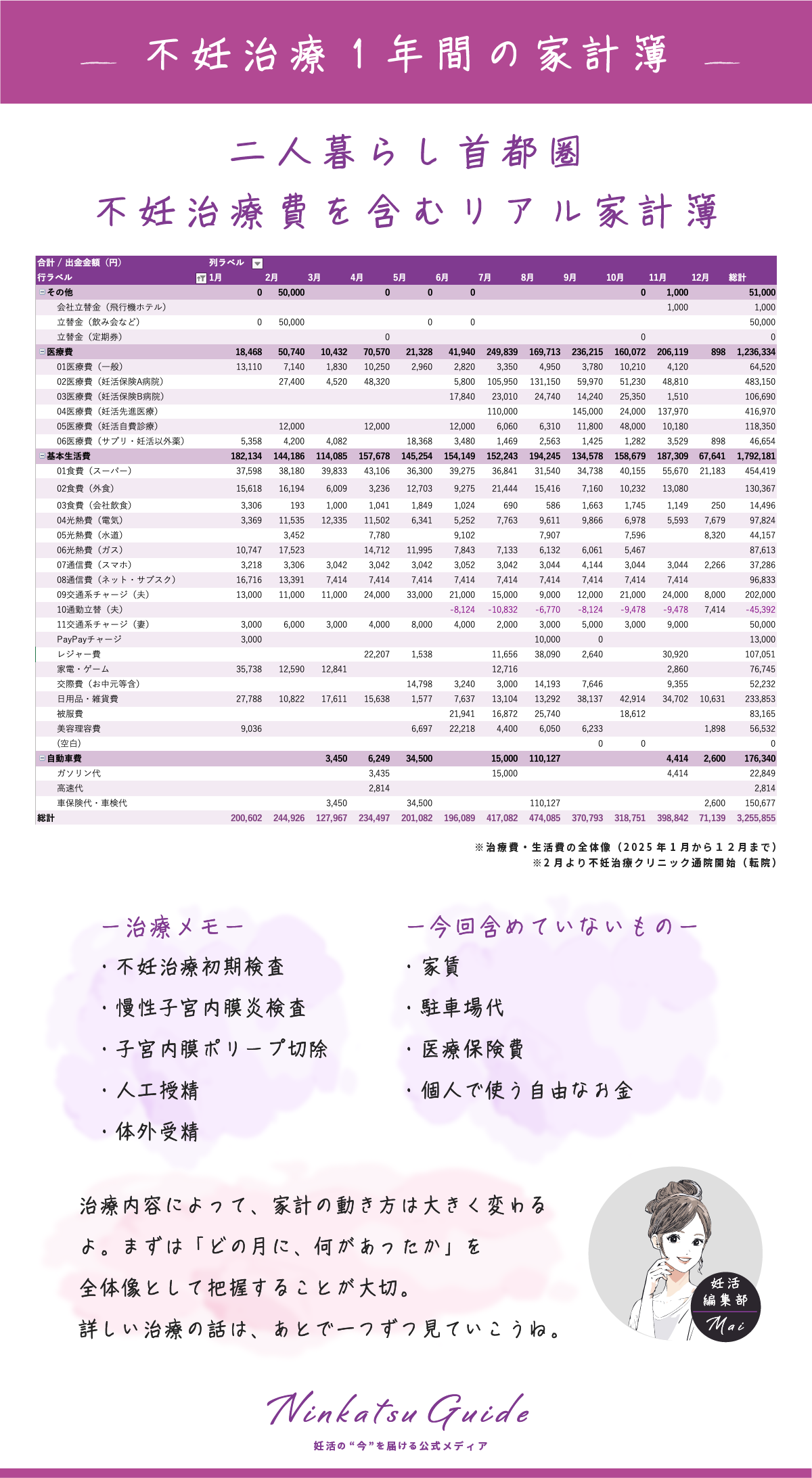 不妊治療1年間の家計簿（生活費・治療費の全体像）