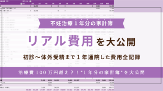 不妊治療1年分の家計簿 リアル費用を大公開初診〜体外受精まで 1年通院していくらかかった？治療費100万円超え？！1年分の家計簿を大公開