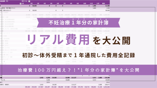 不妊治療1年分の家計簿 リアル費用を大公開初診〜体外受精まで 1年通院していくらかかった？治療費100万円超え？！1年分の家計簿を大公開
