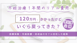 不妊治療家計簿結果