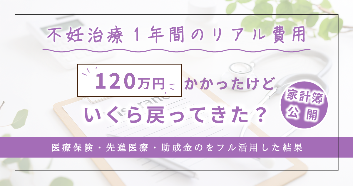 不妊治療家計簿結果